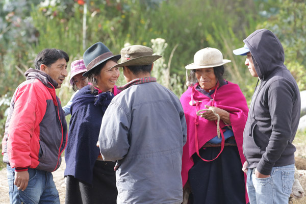 Veemarkt in Riobamba